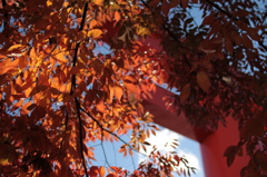 Kyoto 2013.11.13