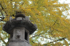 Kyoto 2013.11.13