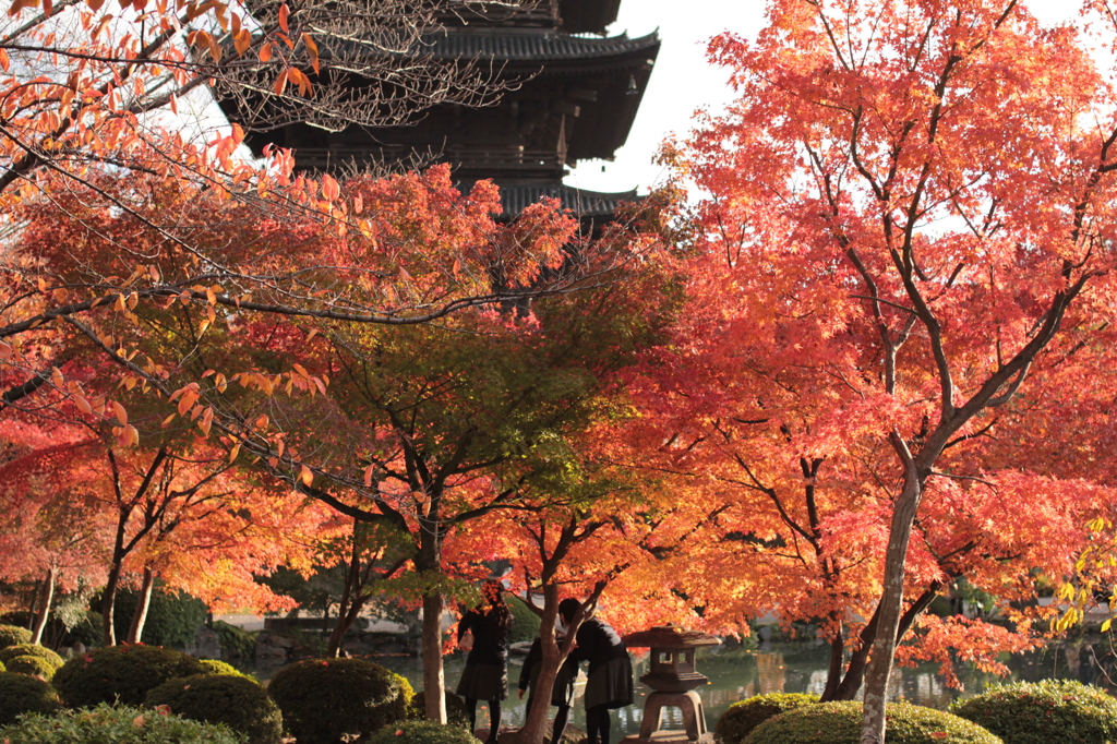 Kyoto 2013.11.23