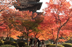 Kyoto 2013.11.23