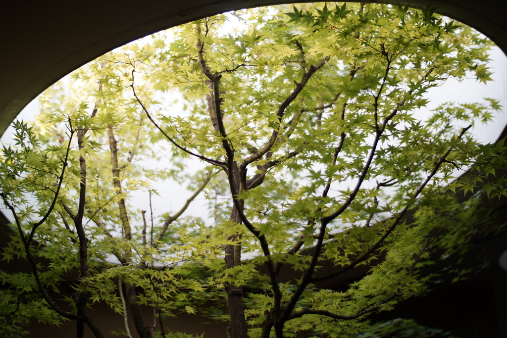 kyoto 20130923