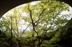 kyoto 20130923