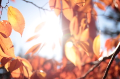 Kyoto 2013.11.13