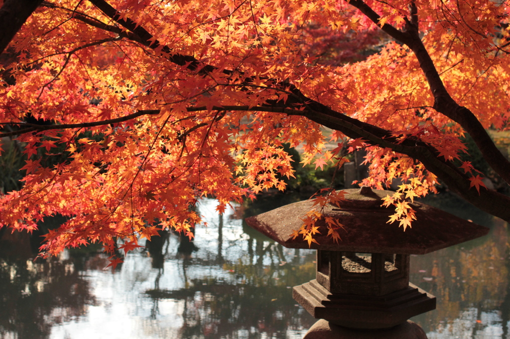 Kyoto 2013.11.23