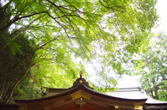 貴船神社