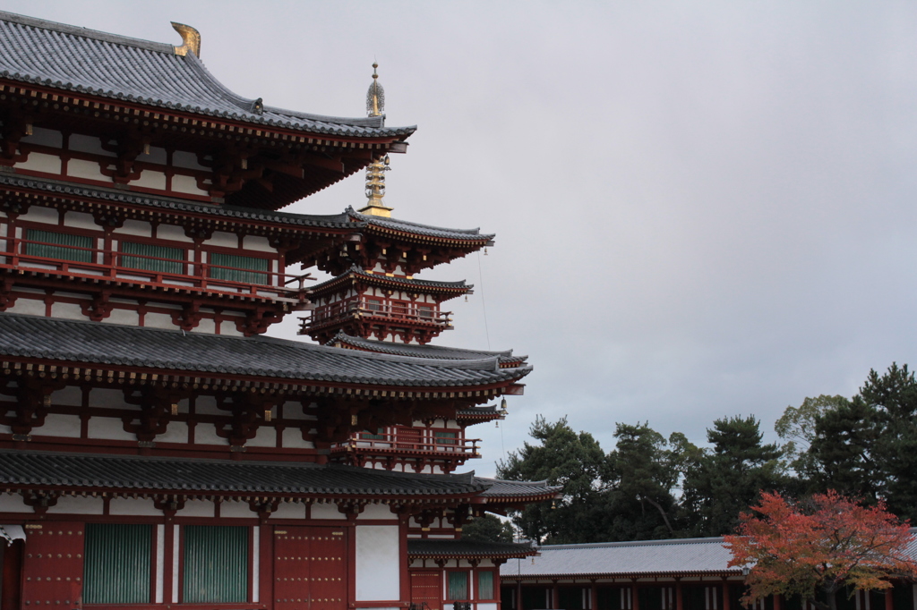 Nara 2013.11.18