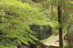 大神神社　2013.10.26