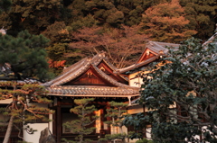 Uji Kyoto 2013.11.09
