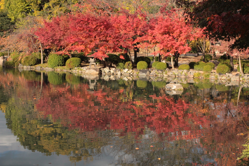 Kyoto 2013.11.23