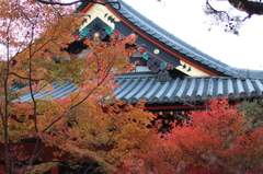 Kyoto 2013.11.30