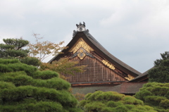 kyoto 2013.11.04