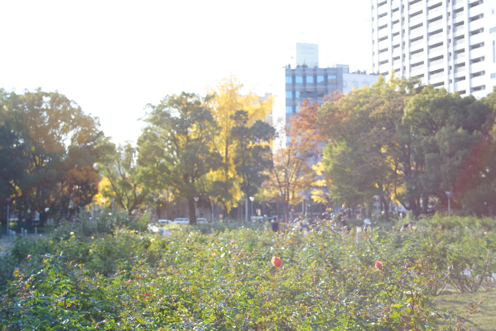 2013.11.28