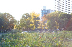 2013.11.28