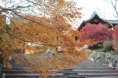 Kyoto 2013.11.30