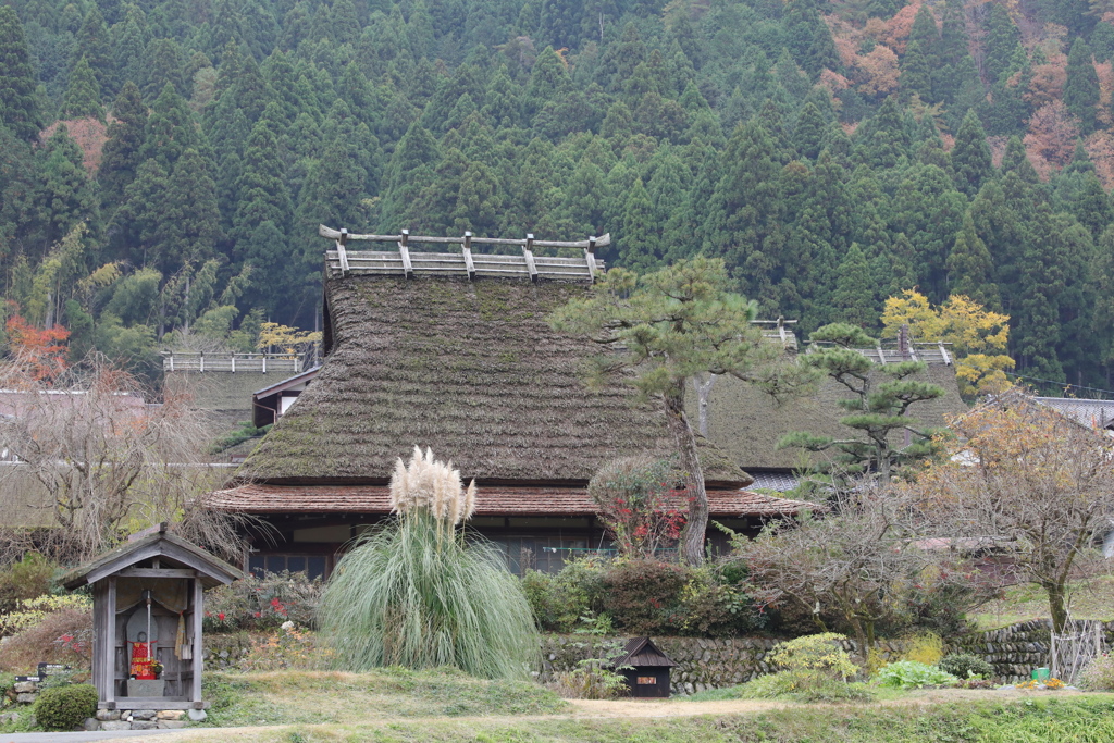 KYOTO