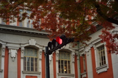 2013.11.06