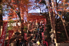 Kyoto 2013.11.30