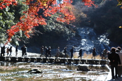 養老渓谷