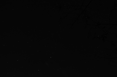 星