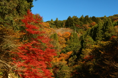養老渓谷