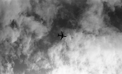 青空を行く