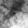 青空を行く