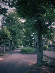 _0011371