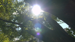 _1100628
