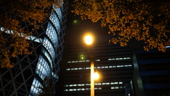 P1060200