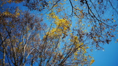 P1050724