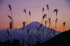 初冠雪後の富士山