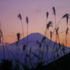 初冠雪後の富士山