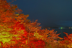 autumn colors