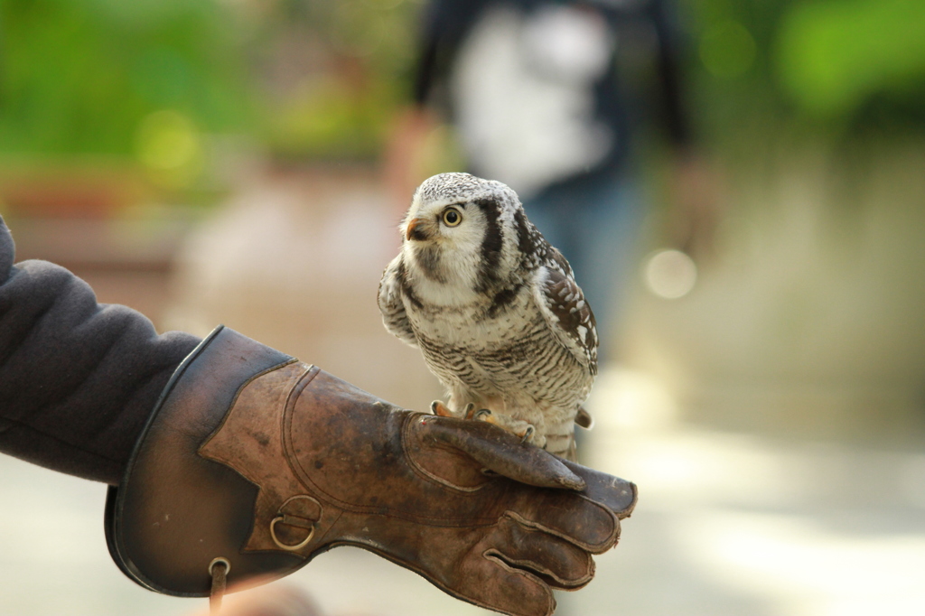 掛川花鳥園 その９ 一休み