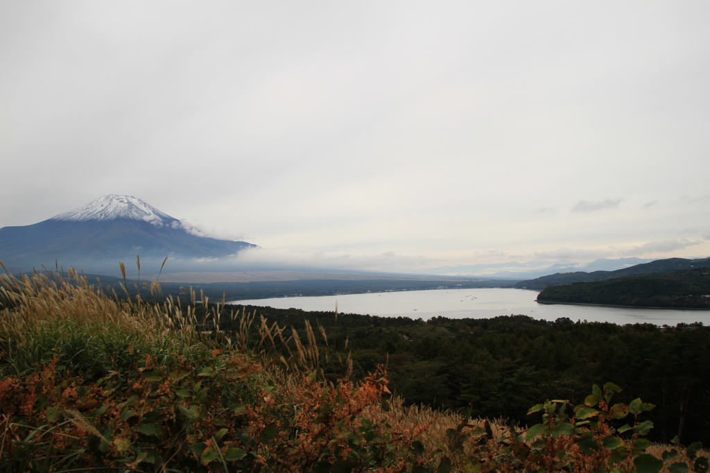 初冠雪と山中湖 IMG_0074