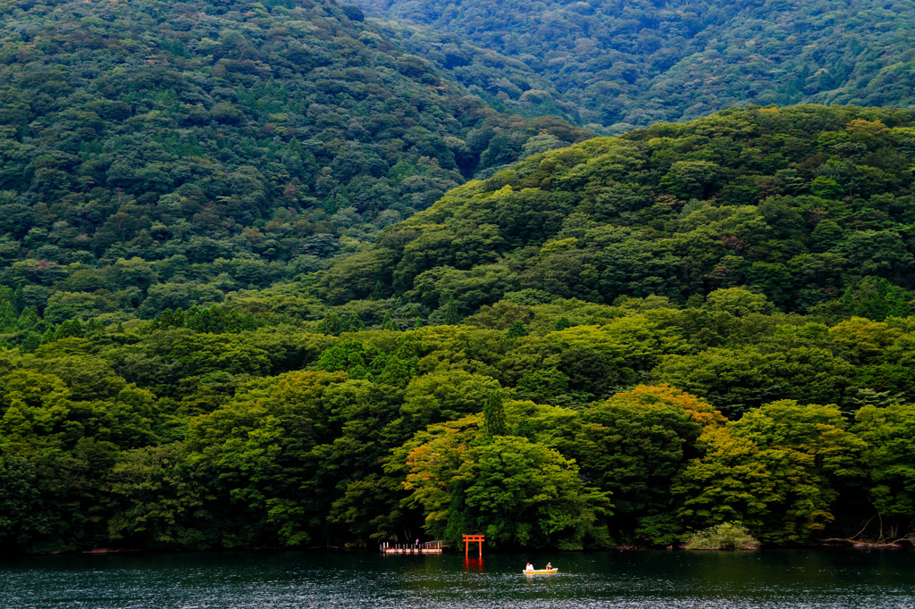 鳥居