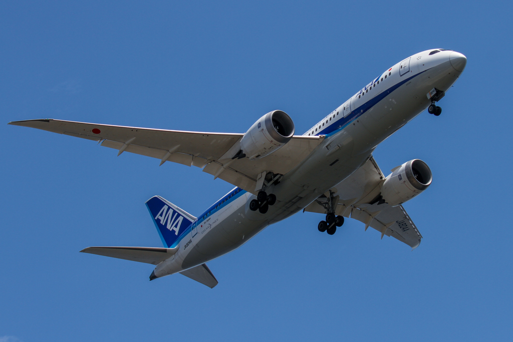 全日本空輸：JA804A