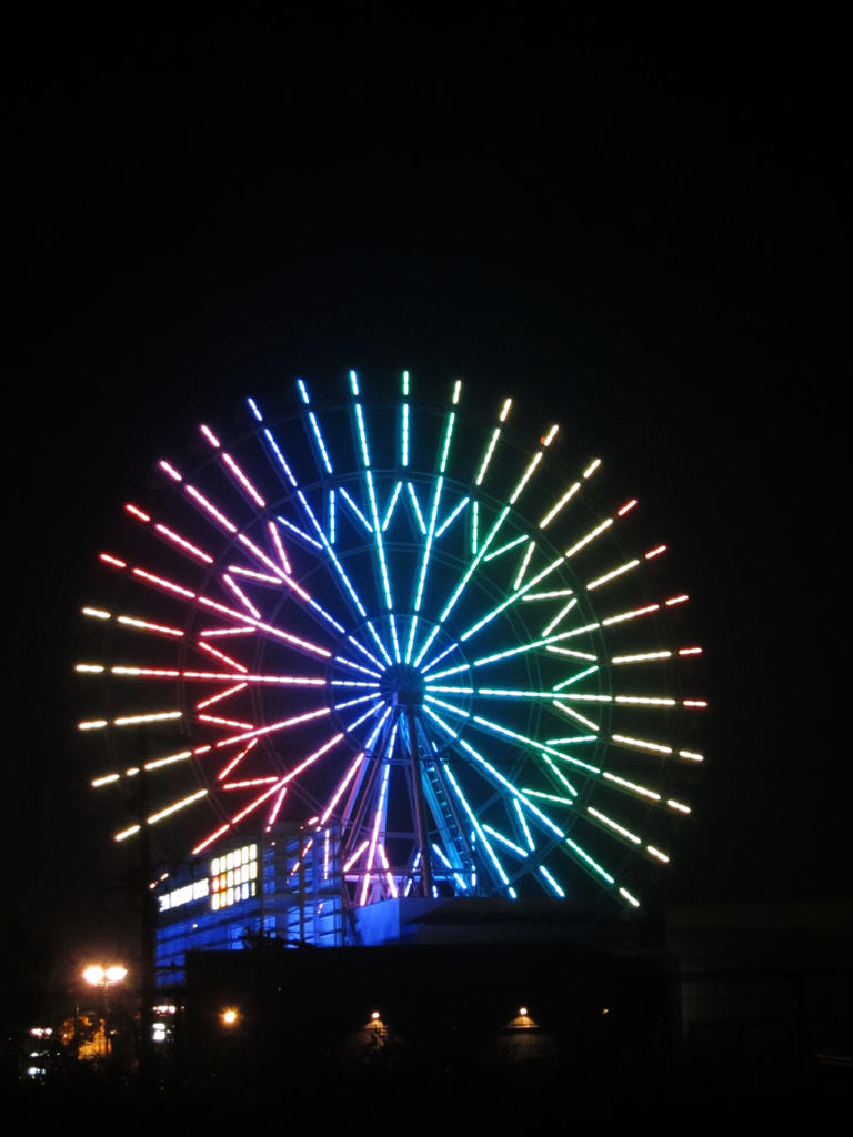 夜に咲く花 IMG_5200