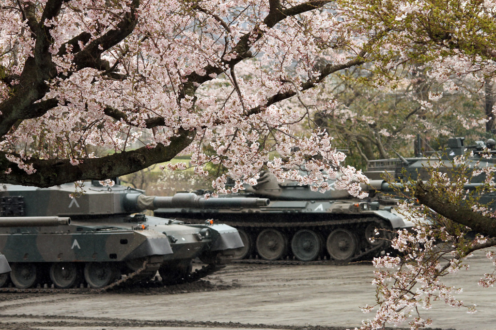 主役は桜