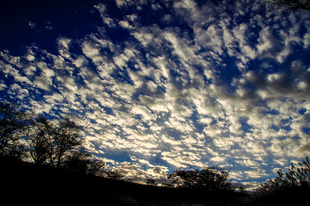 altocumulus cloud