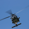 Seahawk
