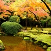 聚遠亭の紅葉④