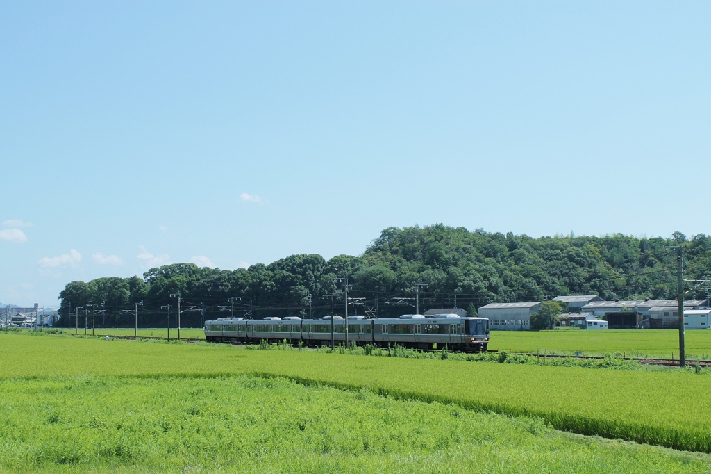 223系