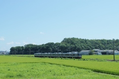 223系