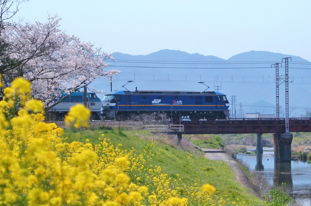 春の小川