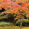 聚遠亭の紅葉③