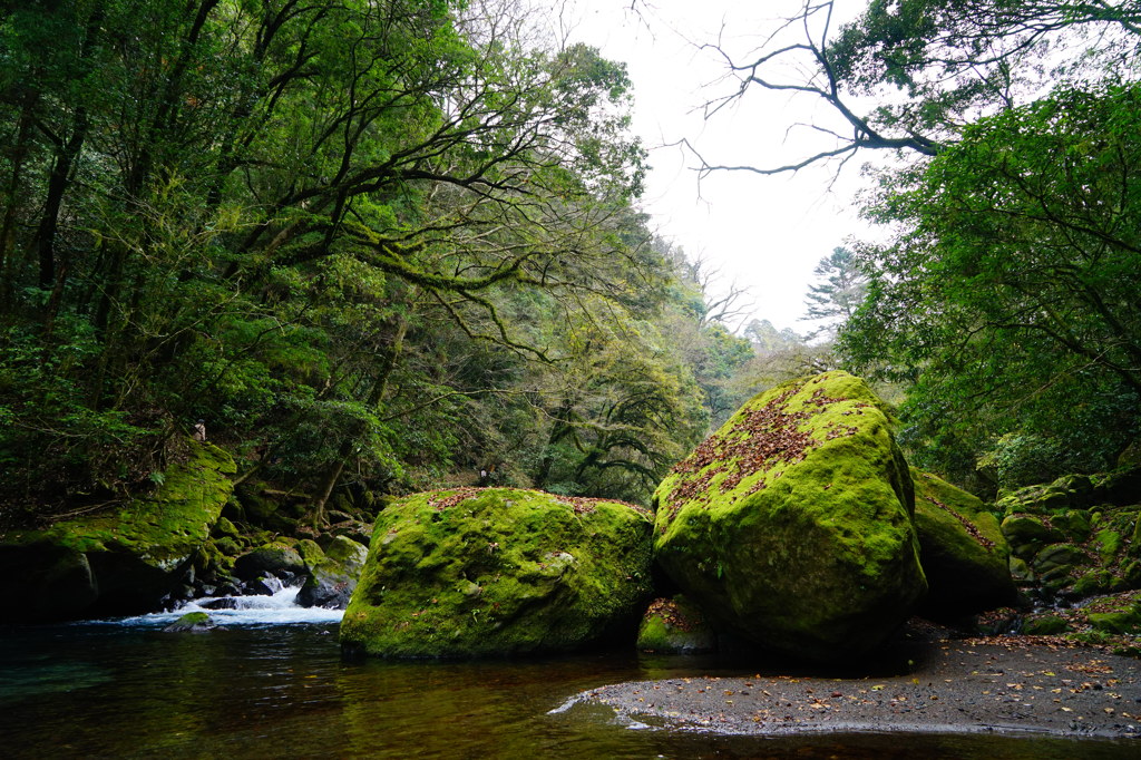 好きなのは　その岩