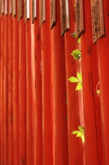 津和野にて　願い