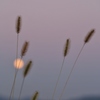 月夜の始まり