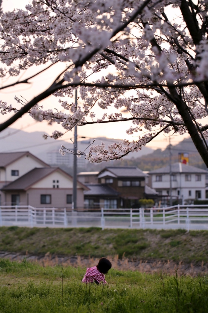 夕暮れの情景　６